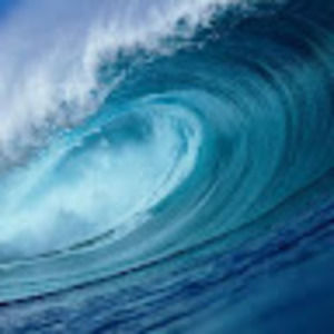 Meet your Posher, Samuel